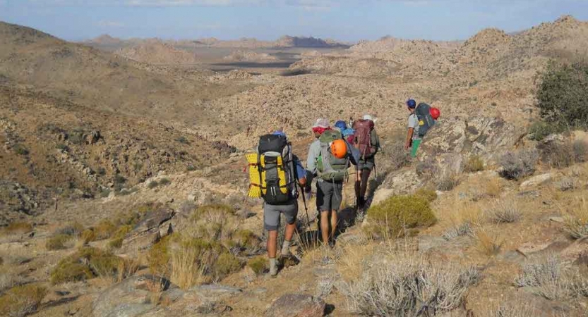 A group of backpackers hike through a desert environment. 